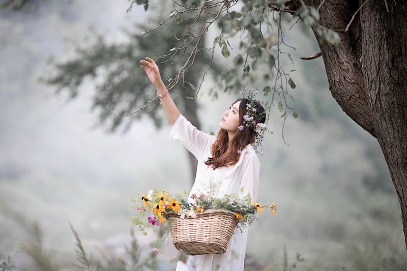 Dreamy Forest Shots