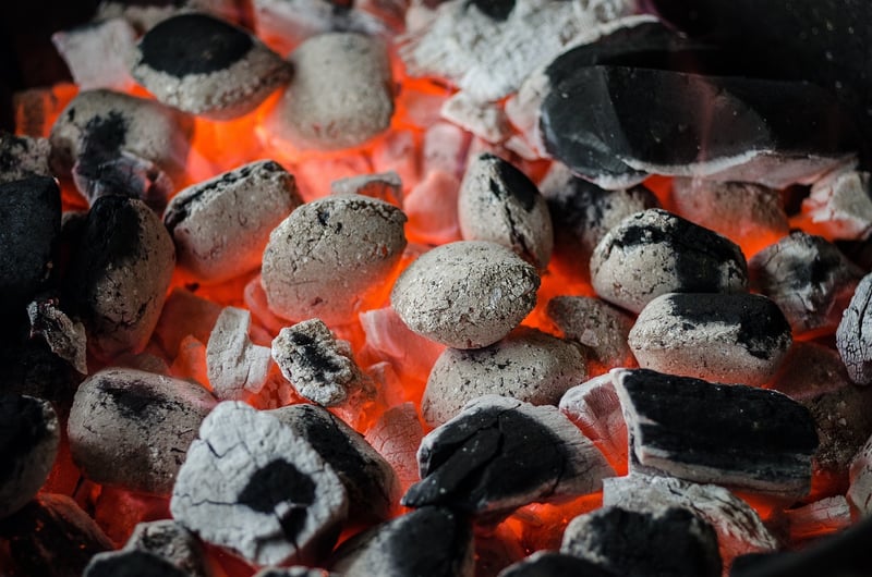 Forest Wedding BBQ